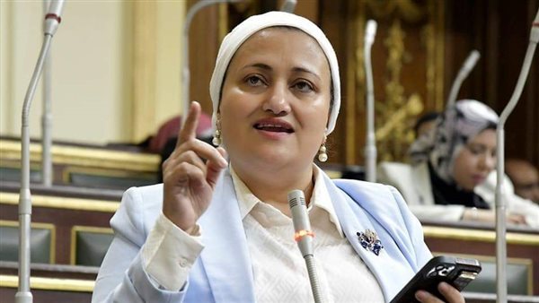 النائبة سناء السعيد