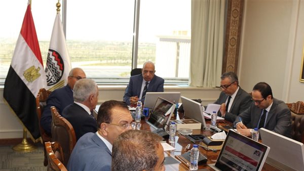 وزير قطاع الأعمال