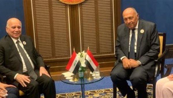 وزير الخارجية المصري