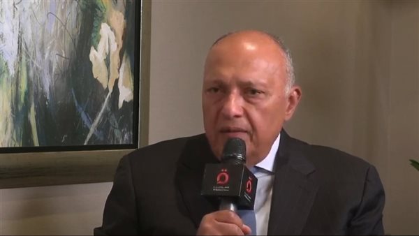 سامح شكري وزير الخارجية