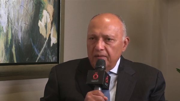 وزير الخارجية 