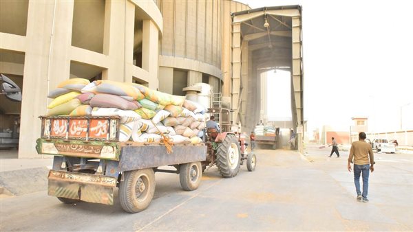 استلام  قمح من المزارعين