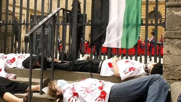 صورة من الحدث 