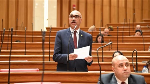 النائب ايهاب منصور