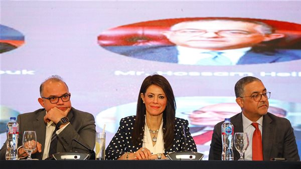 وزيرة التعاون الدولي