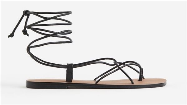 الصندل ذو الأربطة