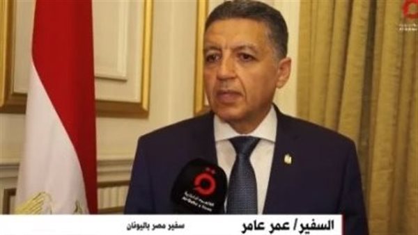 السفير عمر عامر