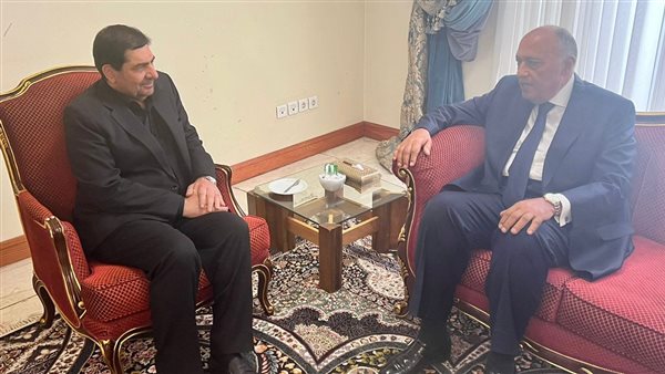 سامح شكري والرئيس