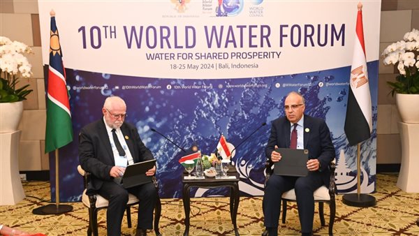 اجتماع وزير الرى