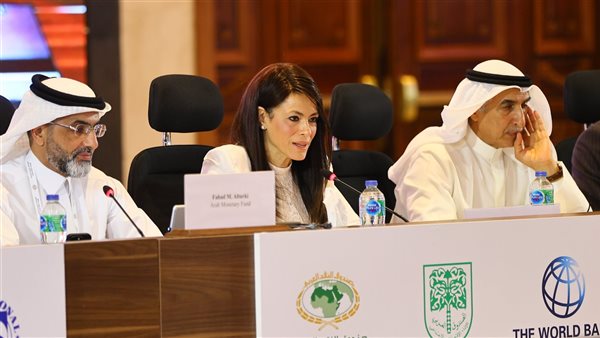  وزيرة التعاون الدولي