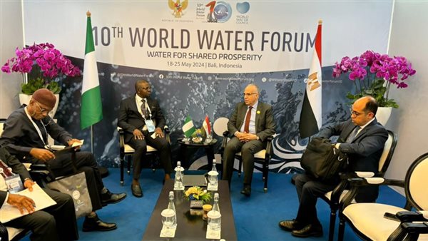 وزير الرى يلتقى نظيره