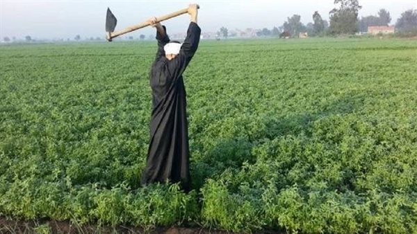 صورة ارشيفية