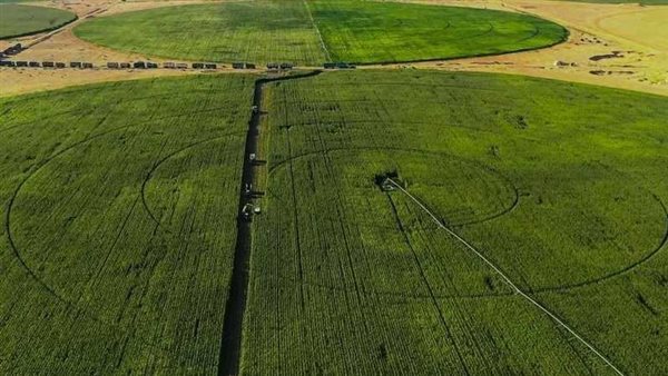 مشروعات زراعية