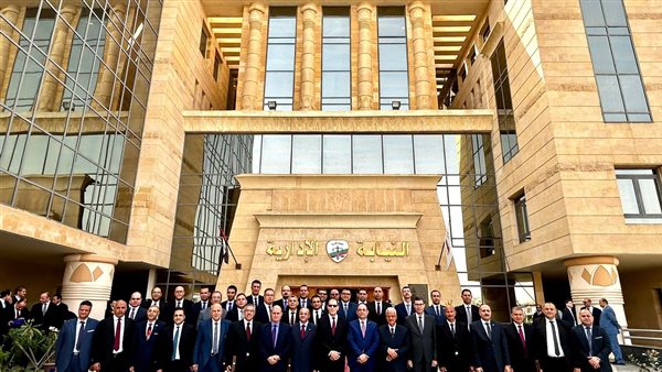 النيابة الإدارية