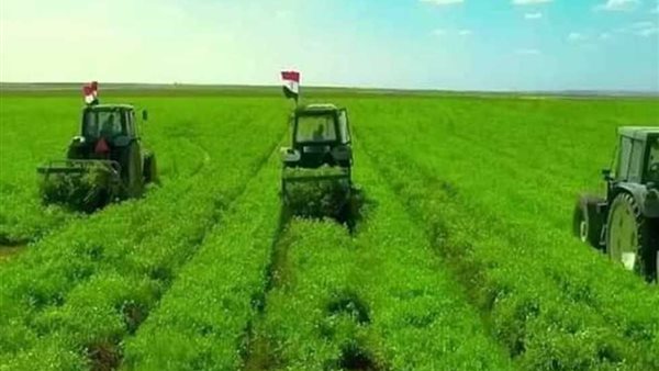 مشروعات توشكى