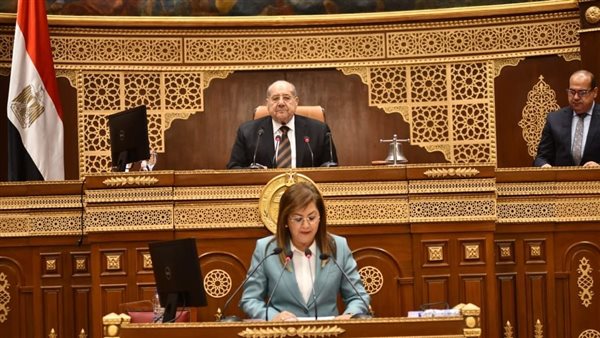 وزيرة التخطيط