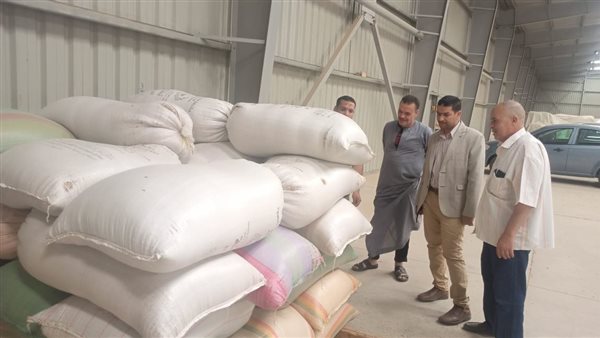 رئيس مدينة الغنائم