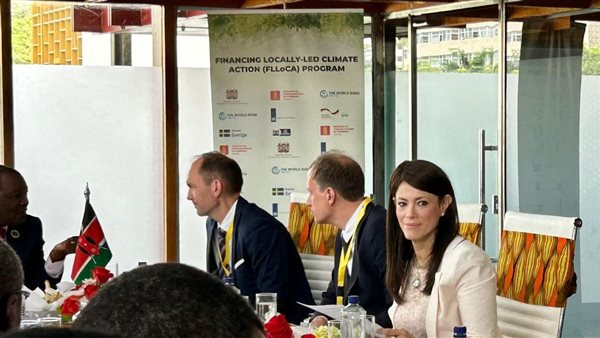 وزيرة التعاون الدولي