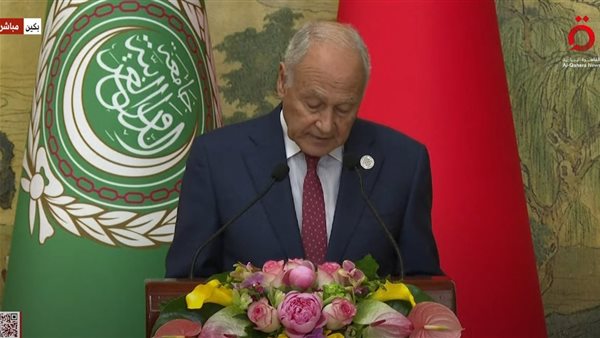 أحمد أبو الغيط