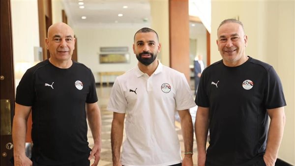 صلاح والتوأم 