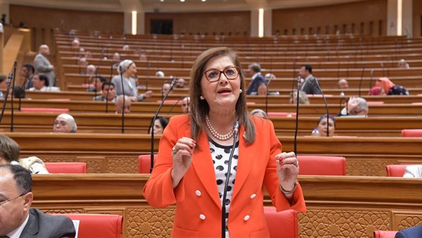 وزيرة التخطيط