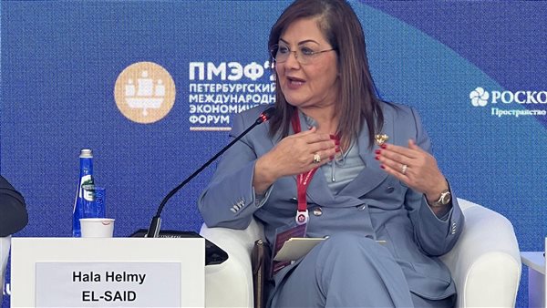 وزيرة التخطيط 