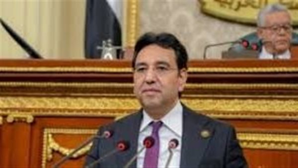 النائب أيمن محسب