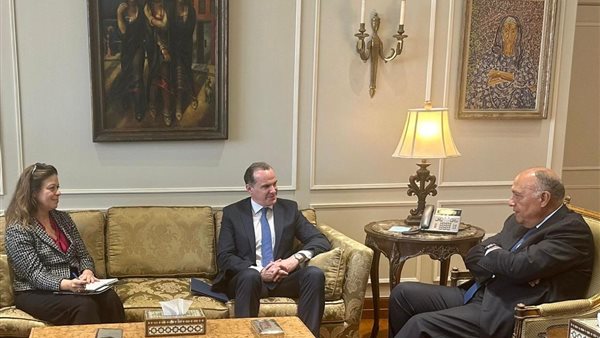 وزير الخارجية يلتقي