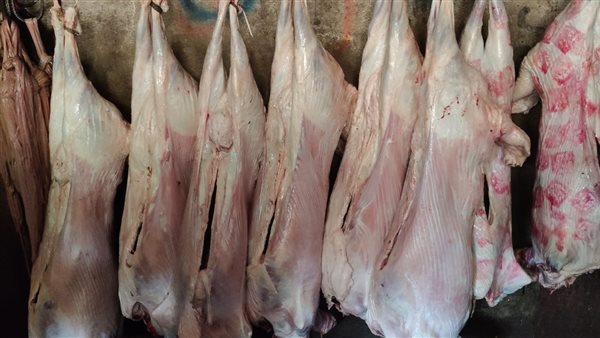 لحوم غير صالحة