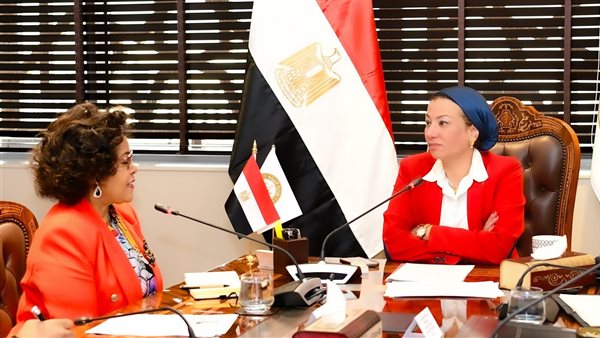 اجتماع ياسمين فؤاد