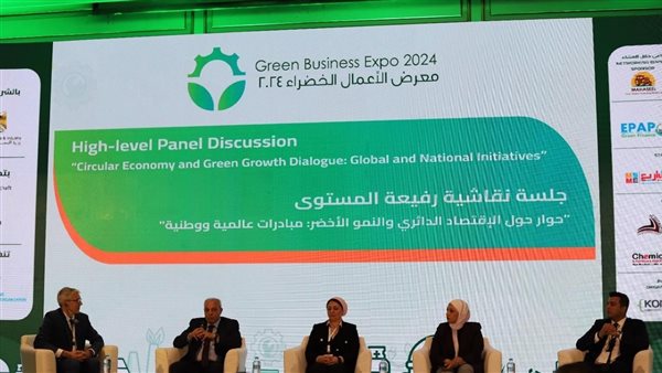 رئيس هيئة تنمية الصعيد