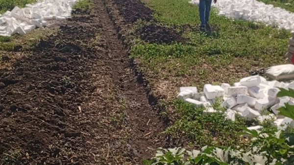 تنفيذ إزالات