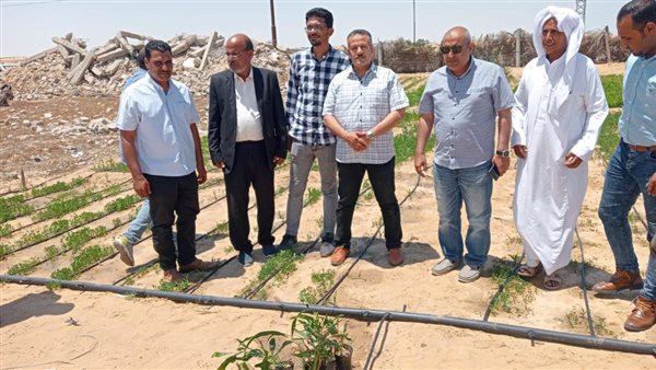 قوافل ارشادية