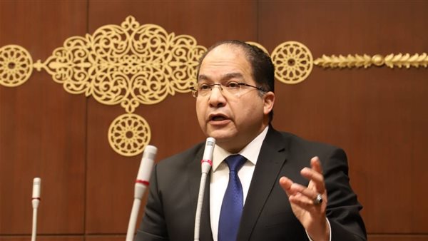 عادل اللمعي، عضو