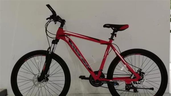 الاحتفال باليوم العالمي