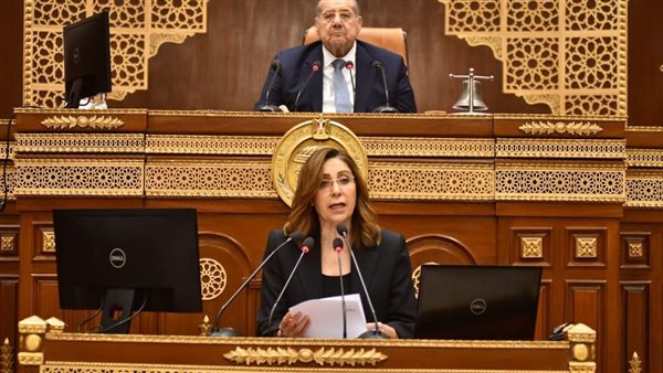 وزيرة الثقافة تؤكد