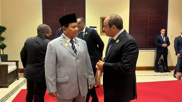 الرئيس السيسي ورئيس