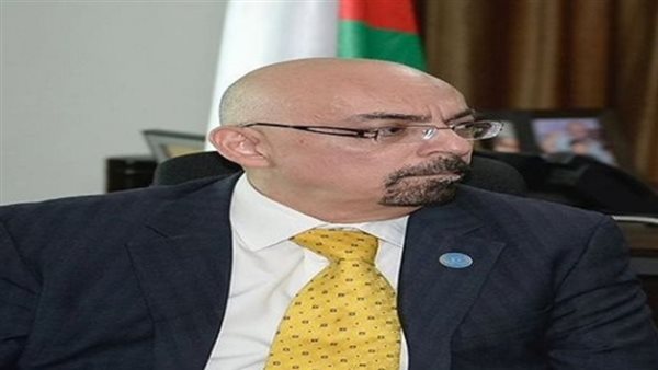 رئيس البعثة الأممية