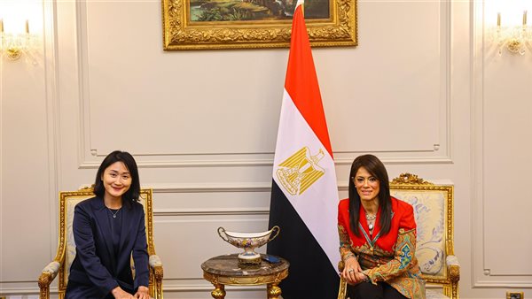 وزير التعاون الدولي