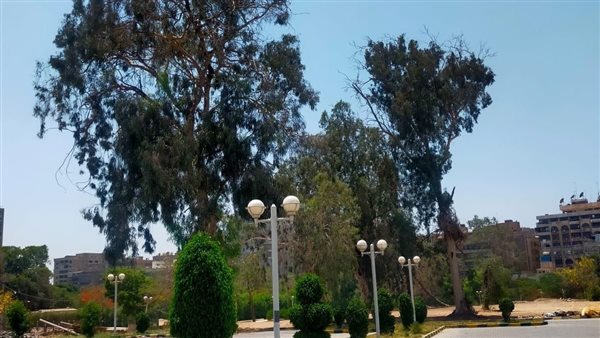 حديقة الميرلاند