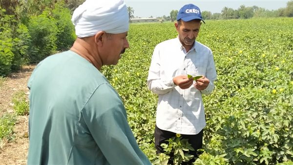 متابعة الآفات