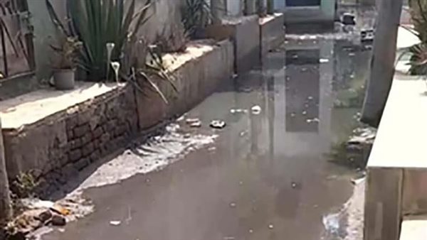  غرق ضريح الشيخ الشعراوي