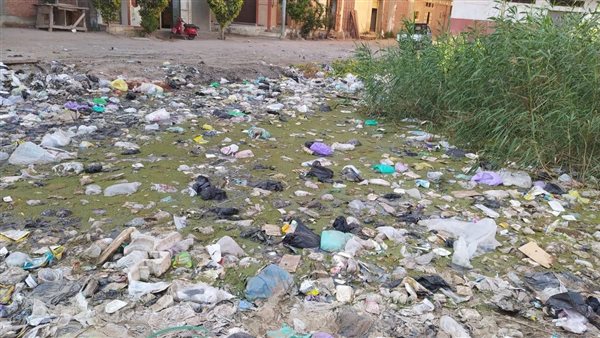 النائبة ايفلين متى