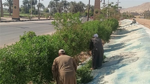 ضمن مبادرة زراعة