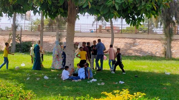 صورة توضيحية