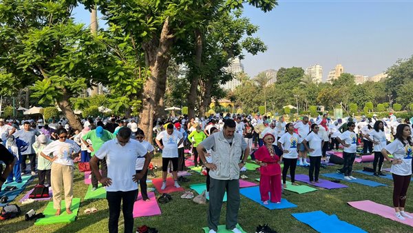 الشباب والرياضة 