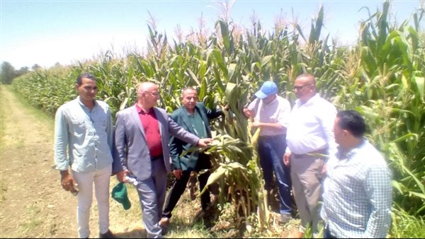 الزراعة تتفقد زراعات