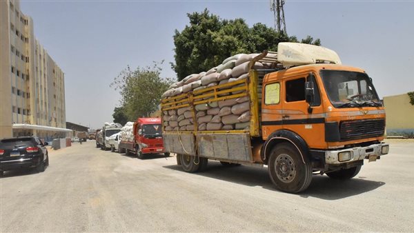 توريد 191 ألف طن