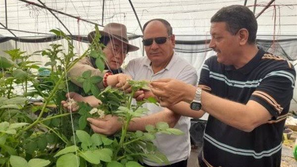 أشرف كمال أستاذ الزراعة