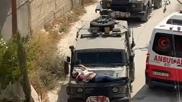 صورة من الحدث 